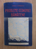 Iancu Conciatu - Probleme economice banatene