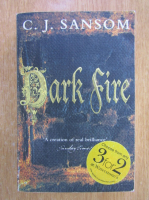 C. J. Sansom - Dark Fire 