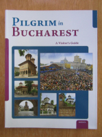 Pilgrim in Bucharest 