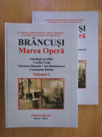 Costin Cretu - Brancusi. Marea Opera (2 volume)