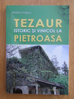 Anticariat: Maria Ivascu - Tezaur istoric si vinicol la Pietroasa