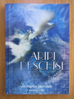 Viorica Afrasinei - Aripi deschise