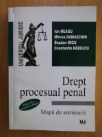 Ion Neagu - Dreptul procesual penal. Mapa de seminarii