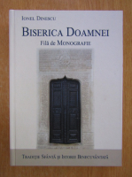 Ionel Dinescu - Biserica Doamnei. Fila de monografie