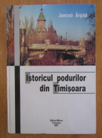 Jancso Arpad - Istoricul podurilor din Timisoara
