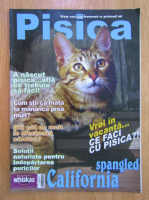 Anticariat: Revista Pisica, nr. 5, August 2006