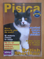 Anticariat: Revista Pisica, nr. 64, Iulie 2006