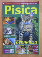 Revista Pisica, nr. 75, Iulie 2007