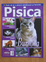 Revista Pisica, nr. 76, August 2007