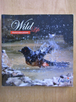 Wild Life. Eturia's Best Picture