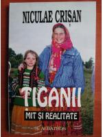 Anticariat: Niculae Crisan - Tiganii mit si realitate