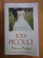 Jodi Picoult - Picture Perfect
