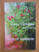 Sandu Catinean - Ulita cu trandafiri