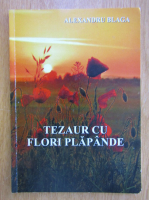 Anticariat: Alexandru Blaga - Tezaur cu flori plapande