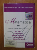 Ion D. Ion - Matematica. Manual pentru clasa a XI-a