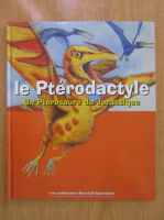Le Pterodactyle. Un Pterosaure du Jurassique