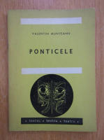 Valentin Munteanu - Ponticele