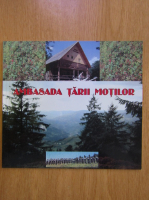 Ambasada Tarii Motilor