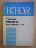 Bihor. Trecut, prezent, perspective