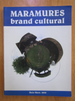 Dorin Stef - Maramures. Brand cultural