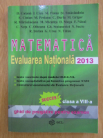 Dumitru Catana - Matematica clasa a VIII-a. Evaluarea Nationala 2013. Ghid de pregatire pentru examen 
