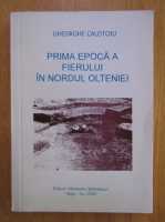 Gheorghe Calotoiu - Prima epoca a fierului in nordul Olteniei