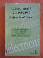 L'electricite en reseaux. Newtorks of Power, nr. 2, iunie 2004