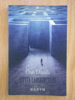 Anticariat: Dan Danila - Ispita labirintului