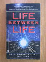 Joel L. Whitton - Life Between Life