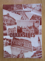 Alexandru Stanescu - Caransebes