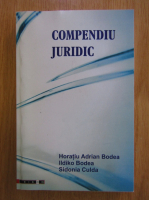 Anticariat: Horatiu Adrian Bodea - Compendiu juridic