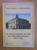 Vasile Dobrescu - Din istoricul institutiilor de credit din judetul Bistrita-Nasaud 1873-1940