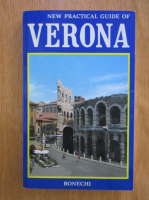 Renzo Chiarelli - New Practical Guide of Verona