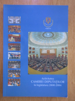 Anticariat: Activitatea Camerei Deputatilor in legislatura 2000-2004