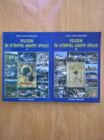 Paraschiv Cleopa - Pelerin in Sfantul Munte Athos (2 volume)