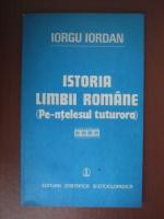 Iorgu Iordan - Istoria limbii romane (pe-ntelesul tuturora)