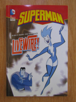 Anticariat: Blake Hoena - Superman. LiveWire!
