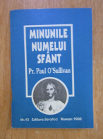 Paul OSullivan - Minunile numelui sfant