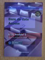 Baze de date. Access. ECDL, modulul 5