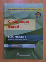 Calcul tabelar. Excel. ECDL, modulul 4