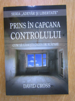 David Cross - Prins in capcana controlului