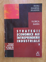 Florica Badea - Strategii economice ale intreprinderii industriale
