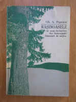 Gh. A. Popescu - Rasinoasele in zona dealurilor din Subcarpatii Orientali de mijloc