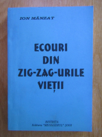 Ion Manzat - Ecouri din zig-zag-urile vietii