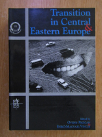 Ovidiu Pecican - Transition in Central and Eastern Europe