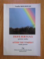 Vasile Moldovan - Dupa furtuna (editie bilingva)