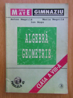 Anton Negrila - Algebra, geometrie. Clasa a VIII-a, partea a III-a