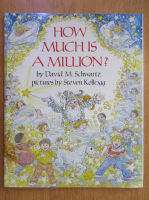 David M. Schwartz - How Much is a Million?