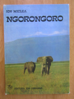 Ion Miclea - Ngorongoro