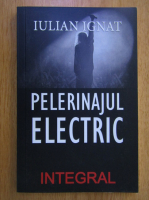 Anticariat: Iulian Ignat - Pelerinajul electric